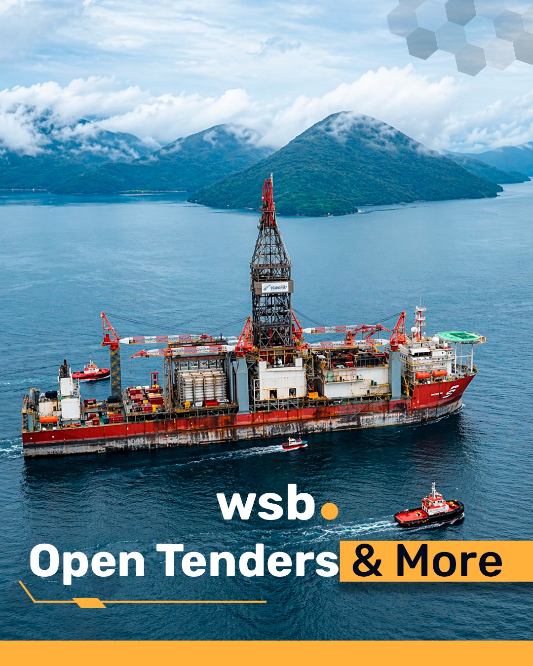 Open Tenders and more